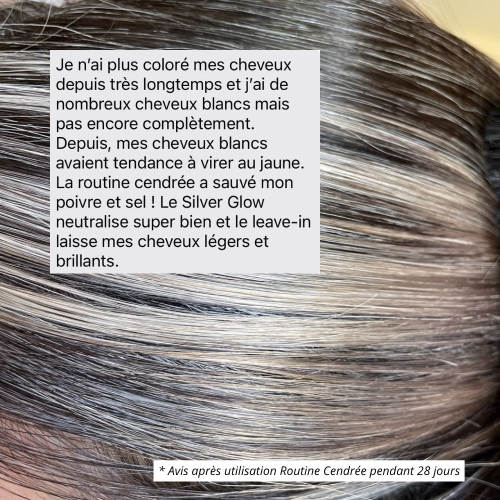 Le Trio Cendrée : La première routine pour cheveux blancs