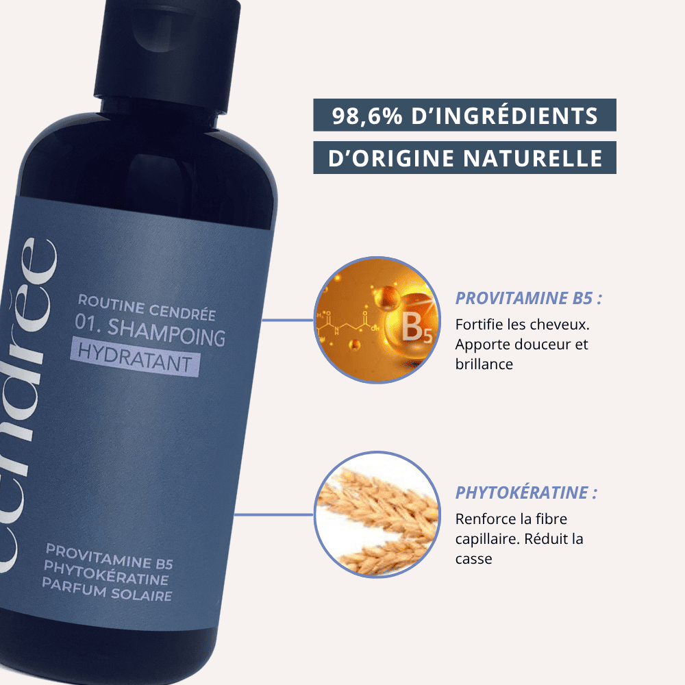Le Trio Cendrée : La première routine pour cheveux blancs